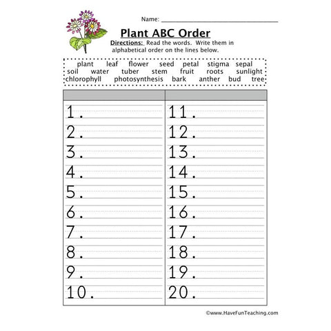 Alphabetical Order Worksheet 17