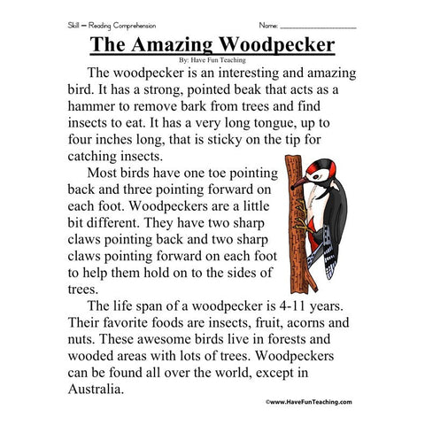 Amazing Woodpecker Worksheet