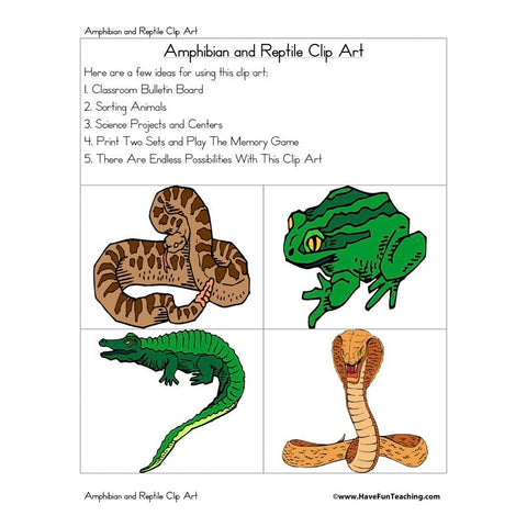 Amphibian Reptile Clip Art Worksheet