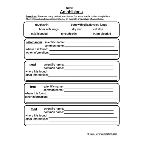 Amphibians Worksheet