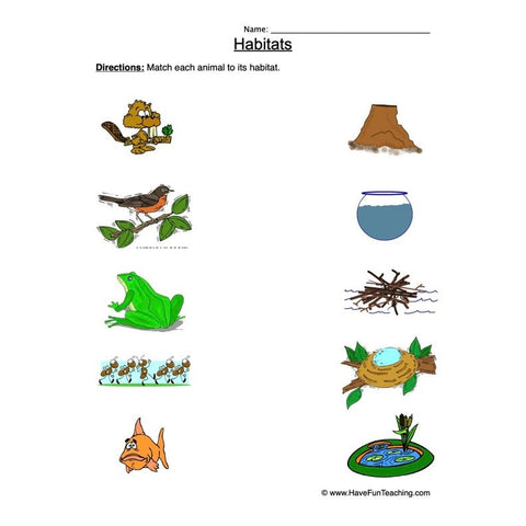 Animal Habitats Worksheet