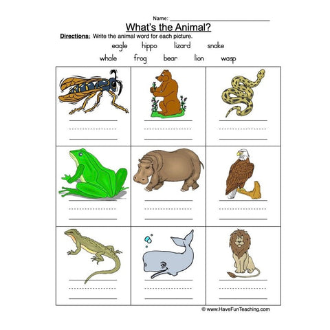 Animal Names Worksheet