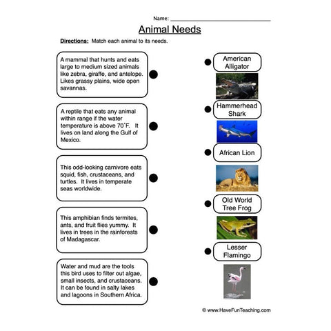 Animal Needs Worksheet 2