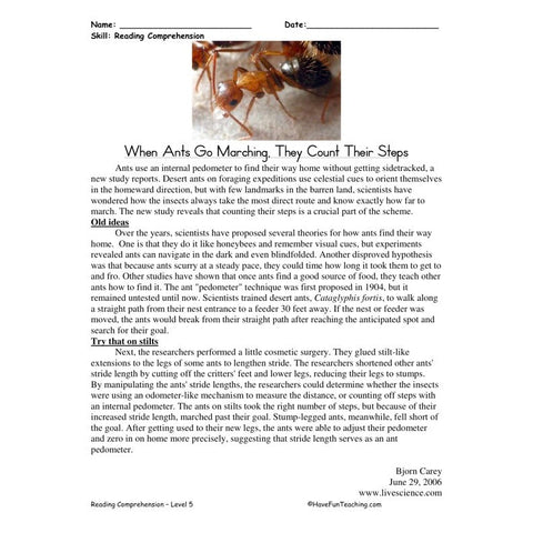 Ants Go Marching Worksheet