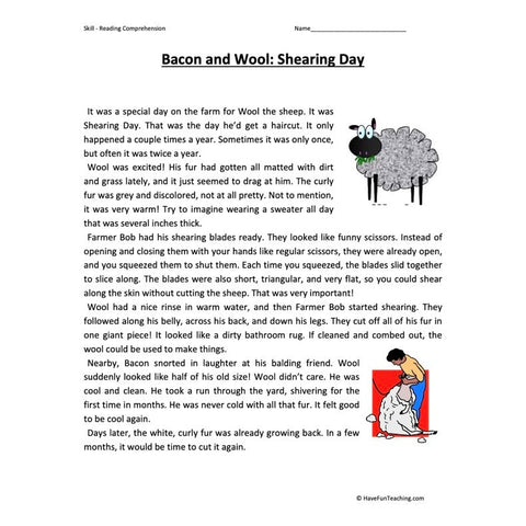 Bacon and Wool: Shearing Day Worksheet