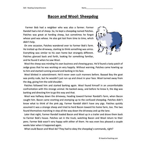 Bacon and Wool Sheepdog Reading Comprehension Worksheet