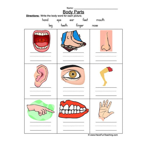 Body Parts Worksheet 4