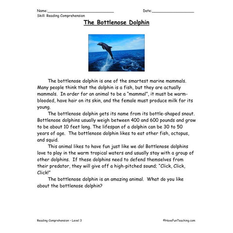 Bottlenose Dolphin Worksheet