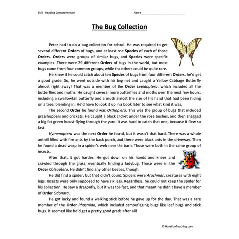 Bug Collection Reading Comprehension Worksheet