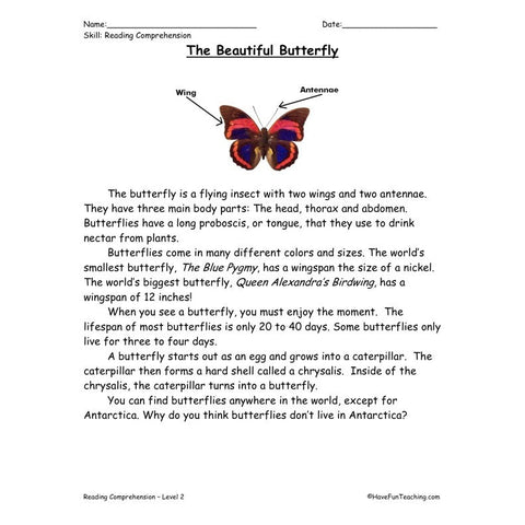 Butterflies Worksheet
