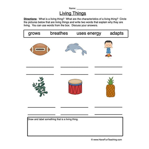 Characteristics Living Things Worksheet