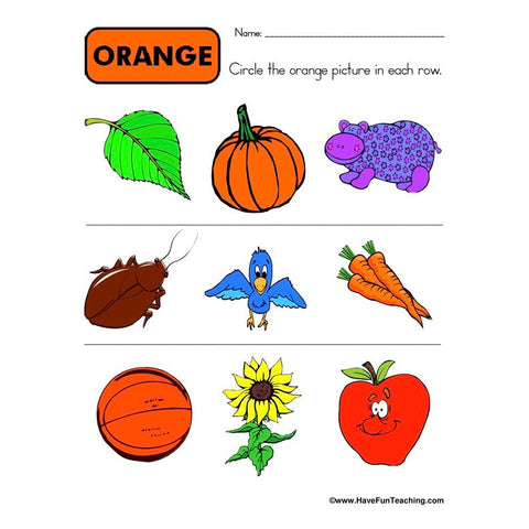 Color Orange Worksheet