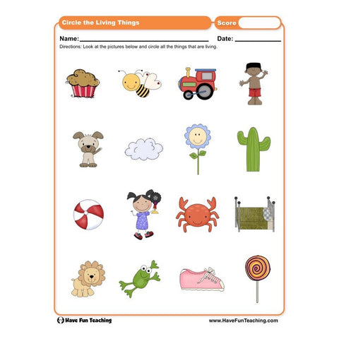 Circle the Living Things Worksheet