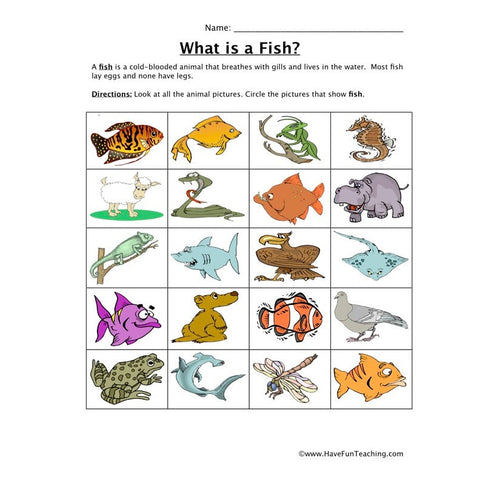 Classifying Fish Worksheet