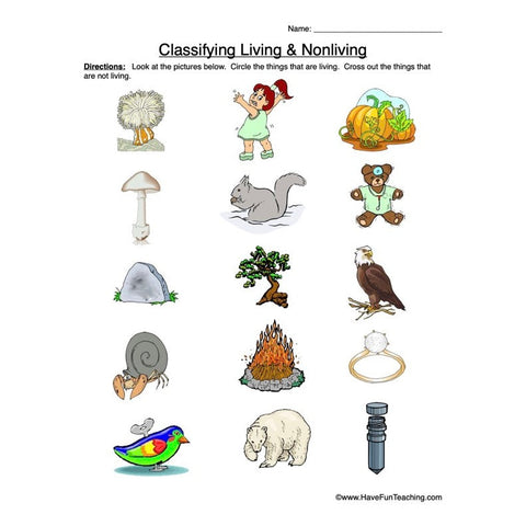 Classifying Living Nonliving Worksheet 2