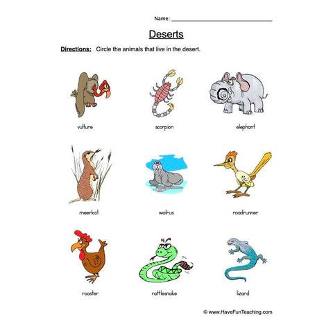 Desert Worksheet 2
