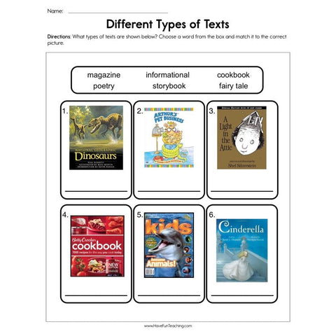 Different Types of Texts Worksheet