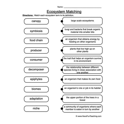 Ecosystems Worksheet 2