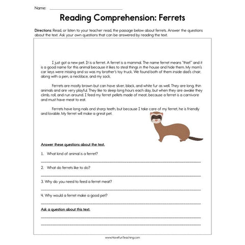 Ferrets Reading Comprehension Worksheet
