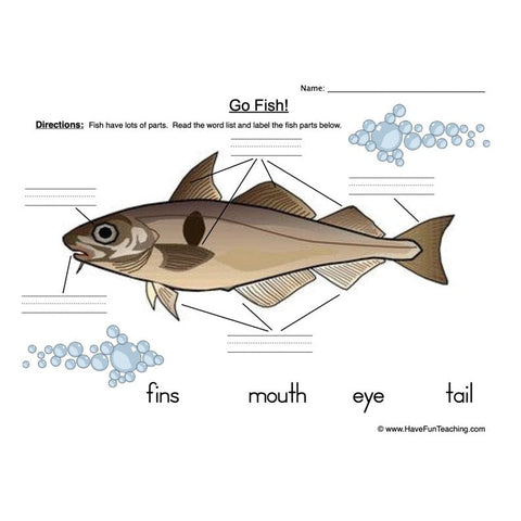 Fish Parts Worksheet