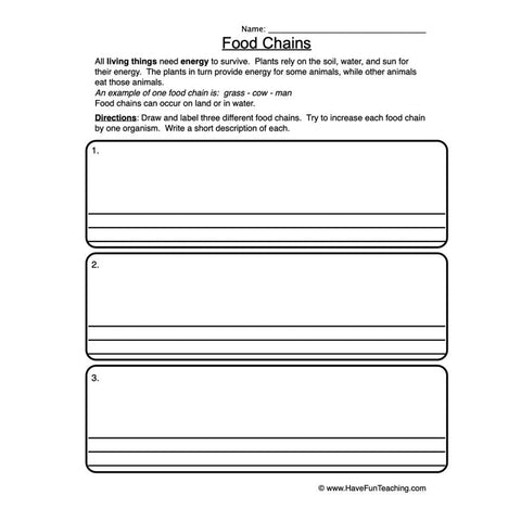 Food Chain Worksheet