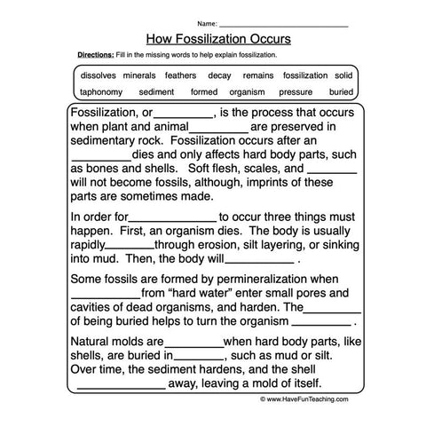 Fossils Worksheet