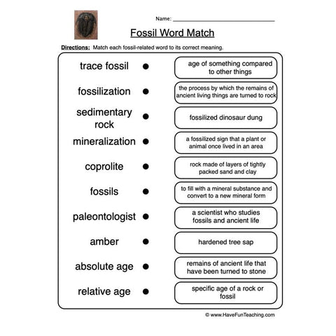 Fossils Worksheet 2