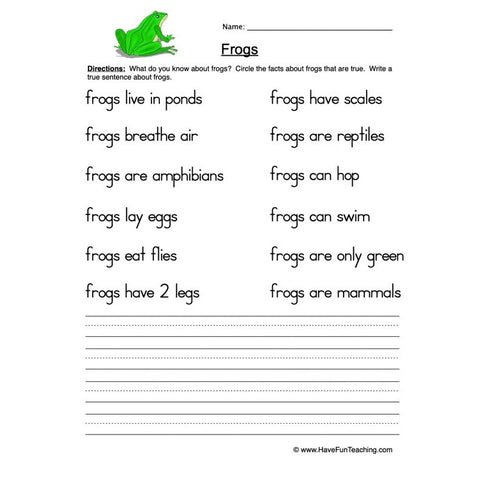 Frogs Worksheet