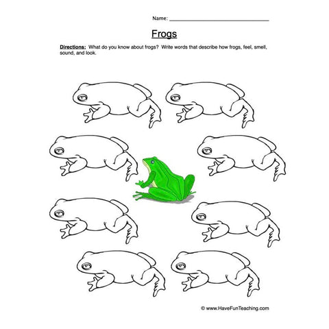 Frogs Worksheet 2