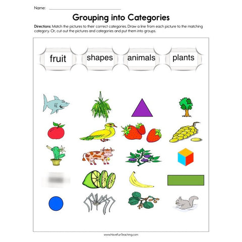 Grouping Into Categories Worksheet