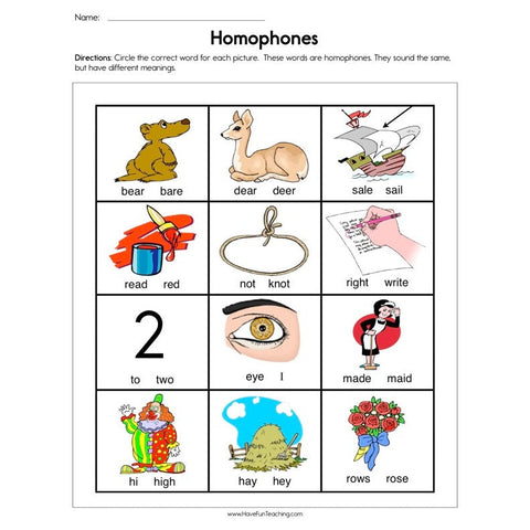Homophones Worksheet 14