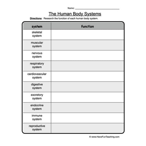 Human Body Systems Worksheet