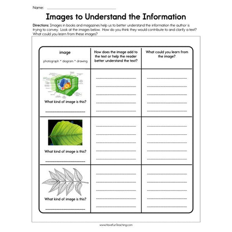 Images to Understand the Information Worksheet