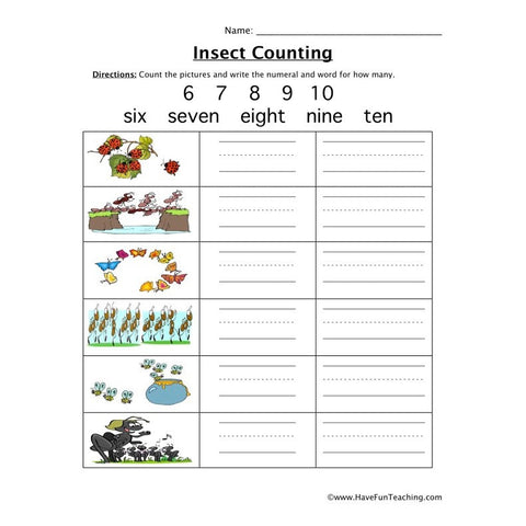 Insect Counting Worksheet