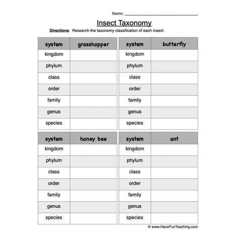 Insect Taxonomy Worksheet