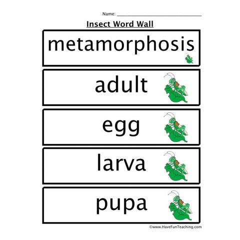 Insect Word Wall Worksheet
