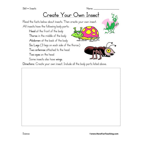 Insect Worksheet