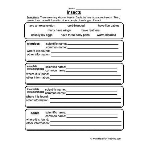 Insects Worksheet