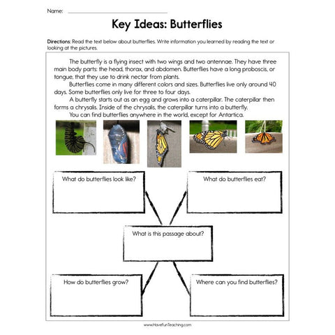 Key Ideas Butterflies Worksheet