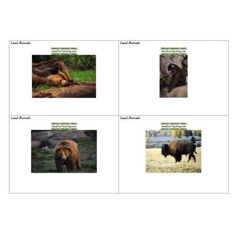 Land Animals Matching Worksheet 2