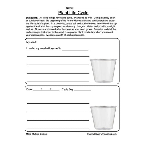 Life Cycle of Plants Worksheet
