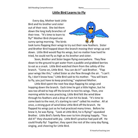Little Bird Learns to Fly Worksheet