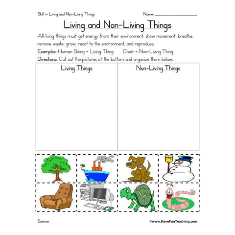Living and Non Living Things Worksheet