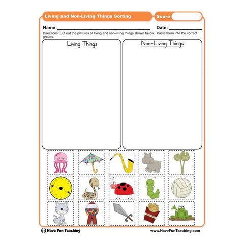 Living Things and Non Living Things Sorting Worksheet