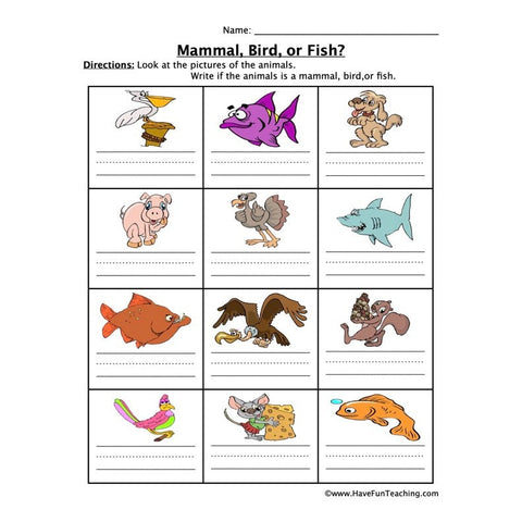 Mammal Fish Bird Worksheet