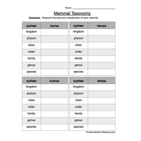 Mammal Taxonomy Worksheet
