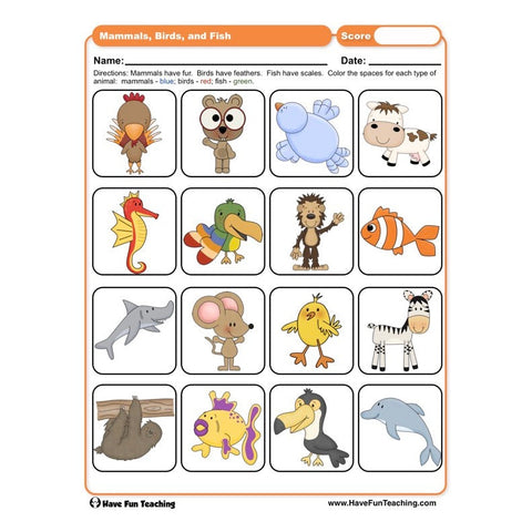 Mammals Birds and Fish Worksheet
