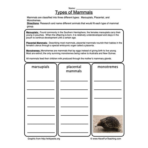 Mammals Worksheet