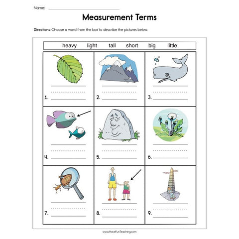Measurement Terms Worksheet