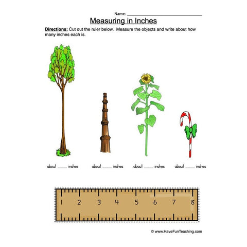 Measuring Worksheet 2